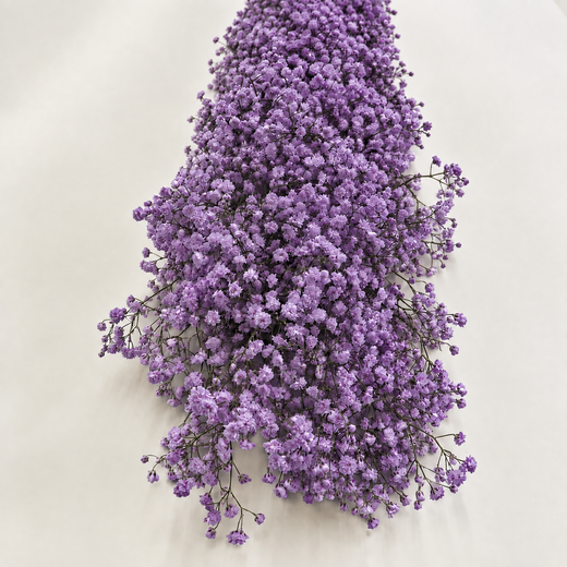 Guirlandas naturais de Paniculata (1 m linear)