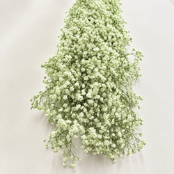 Guirlandas naturais de Paniculata (1 m linear)