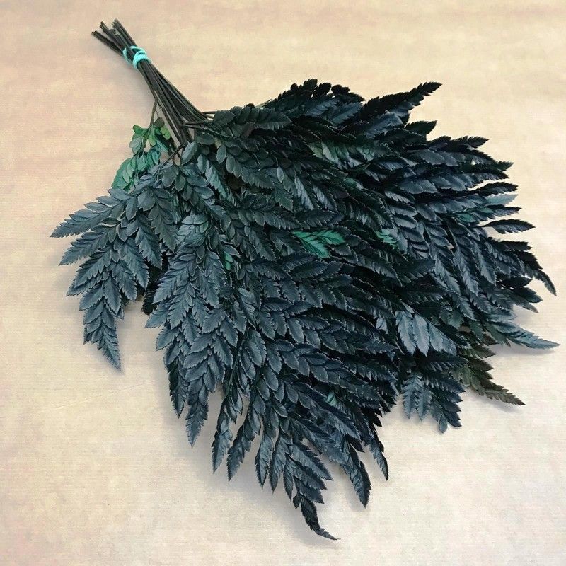 Helecho de Cuero Preservado Marrón