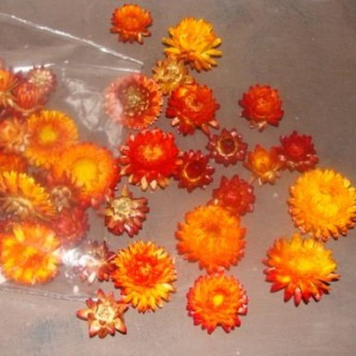 Helychrisum Flors Seques Caps