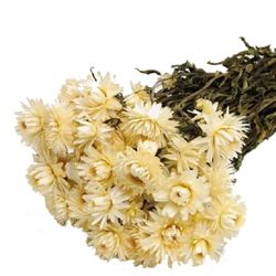 Helychrisum Flors Seques Caps