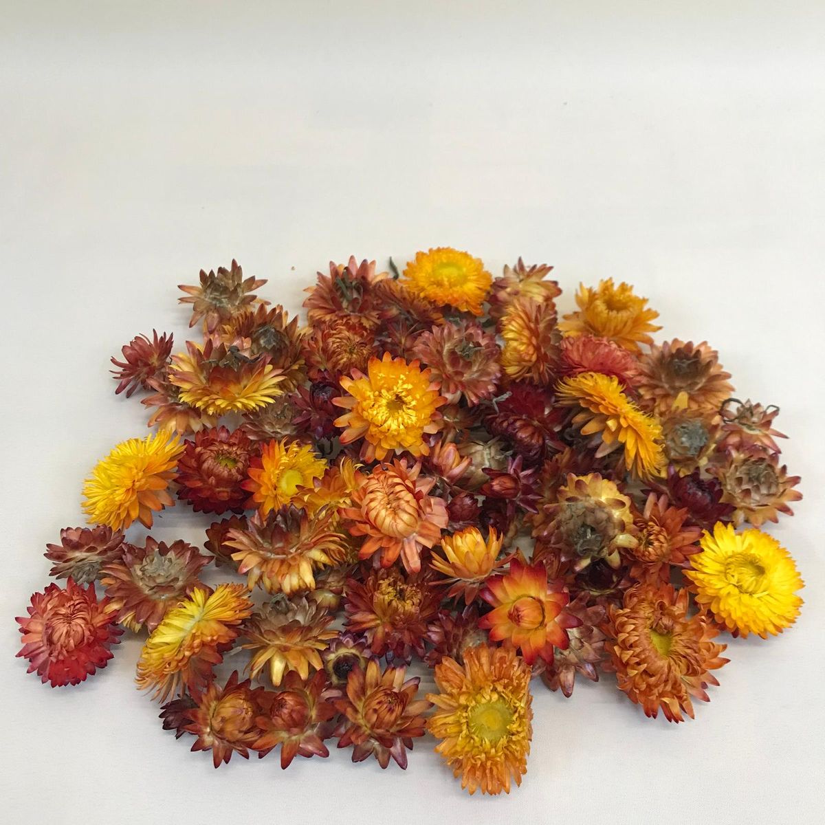 Helychrisum Flores Secas Cabezas Amarillo