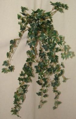 Hiedra Variegata Artificial