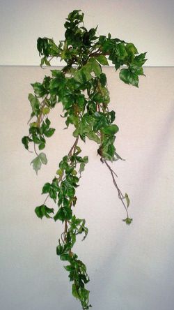 Heura Variegata Penjoll Artificial