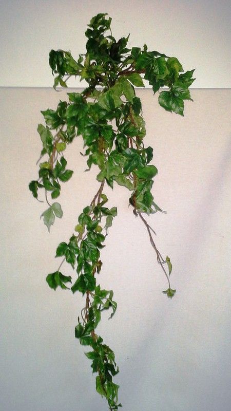 Heura Variegata Penjoll Artificial