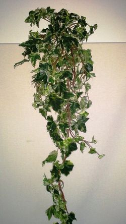Hiedra Verde Artificial