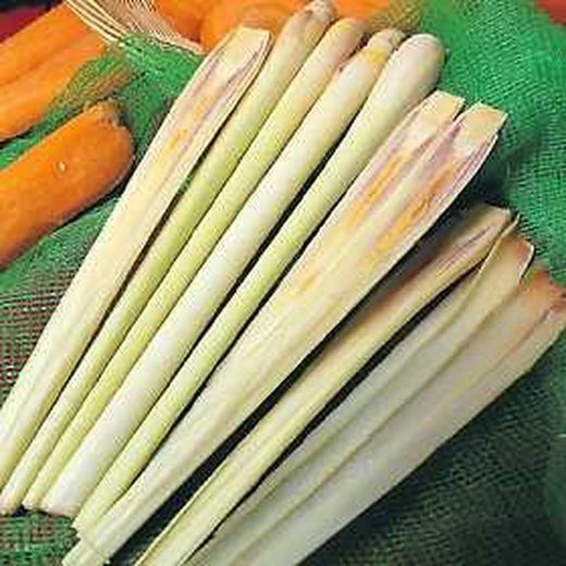 Hierba Limón 5 tallos