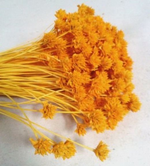 Hill Flower Seco
