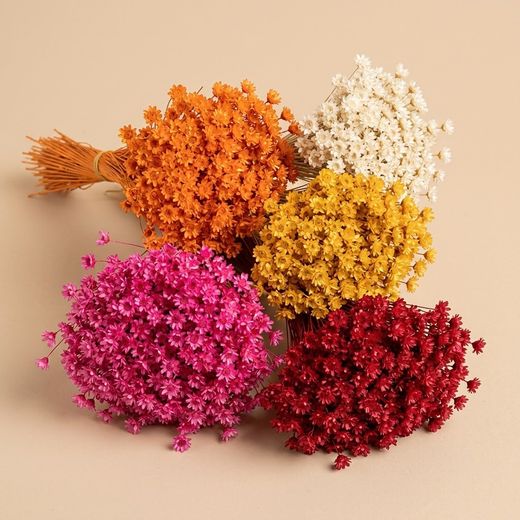 Fleur de colline sèche