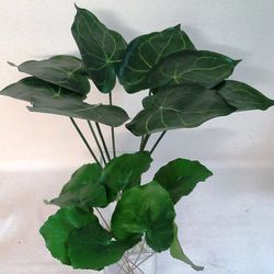 Hojas de Caladium y Galax Artificial Caja 8 uds