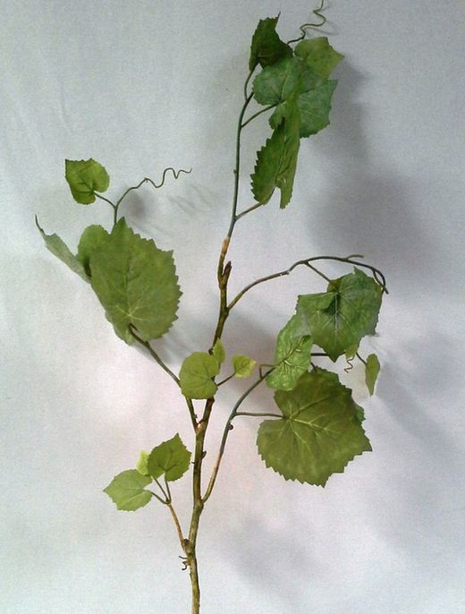 Fulles de Parra Artificial 4 unitats.