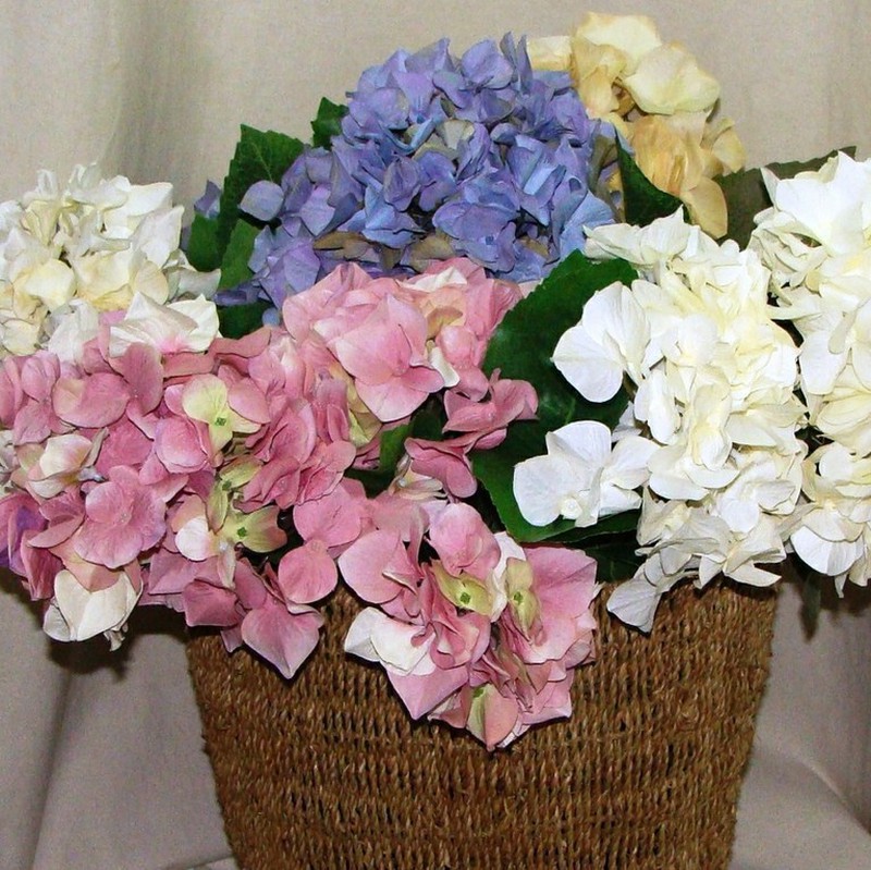 Las mejores ofertas en Flores artificiales de Hortensias