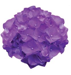 Hortensias Azules