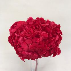 Hortensias Preservadas