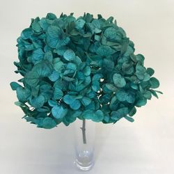 Hortensias Preservadas