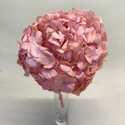 Hortensias Preservadas