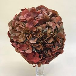Hortensias Preservadas
