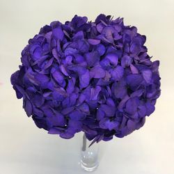 Hortensias Preservadas
