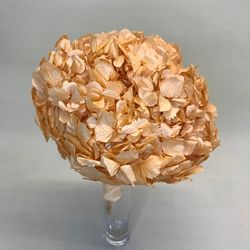 Hortensias Preservadas