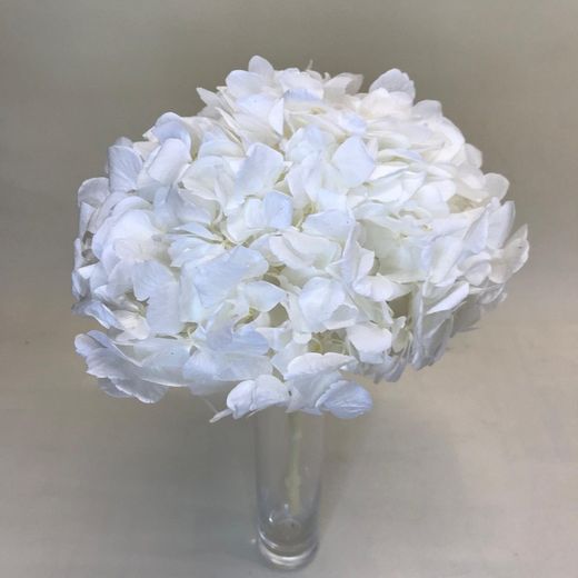 Hortensias Preservadas