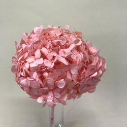 Hortensias Preservadas