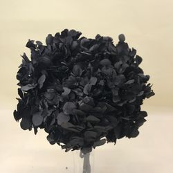 Hortensias Preservadas Premium