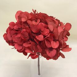 Hortensias Preservadas Premium