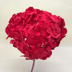 Hortensias Preservadas Premium