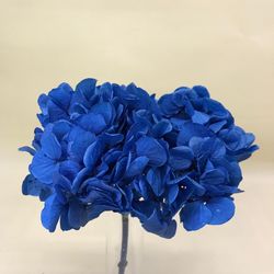 Hortensias Preservadas Premium