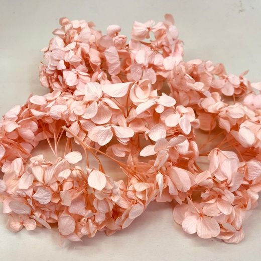 Hortensias Preservadas Ramilletes
