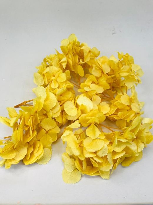 Hortensias Preservadas Ramilletes