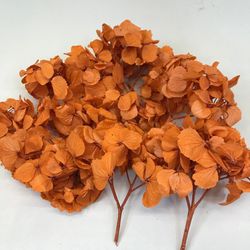 Hortensias Preservadas Ramilletes