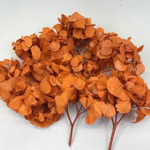 Hortensias Preservadas Ramilletes