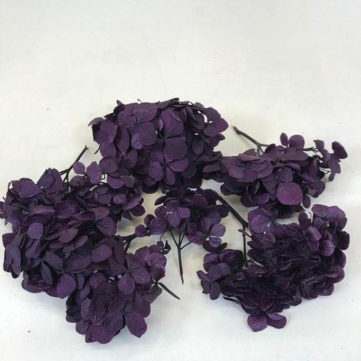 Hortensias Preservadas Ramilletes
