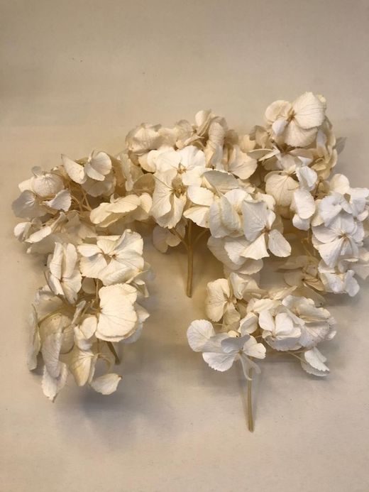 Hortensias Preservadas Ramilletes