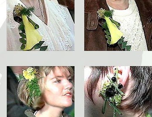 Imants per compresos 10 unitats.