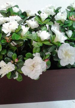 Jardinera Azalees Artificials