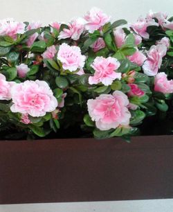 Jardinera Azalees Artificials