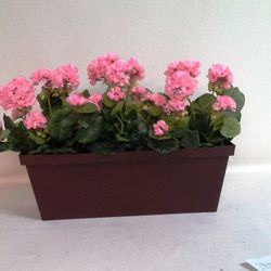 Jardinera Geranios Artificiales