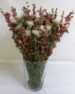 Gerro Carthamus i Delfinium sec