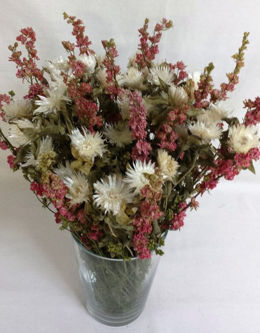 Gerro Carthamus i Delfinium sec