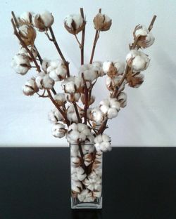 Gerro amb flors de Cotó