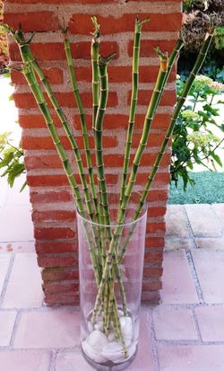 Jarrón cristal con Bamboo decorativo