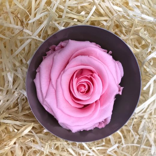 Jarrón de Cristal con Rosa Preservada San Valentín