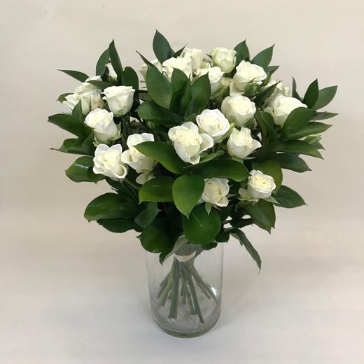 Gerro Roses pitiminí