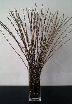 Jarrón Salix el Gato