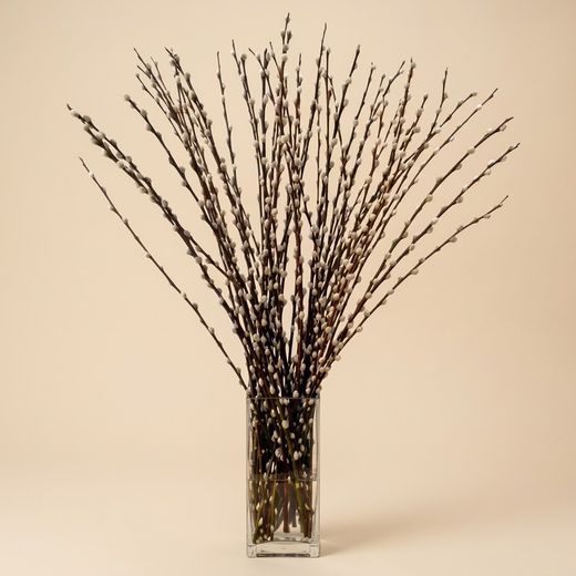 Vase Salix le chat