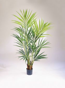 Kentia Artificial de Luxe