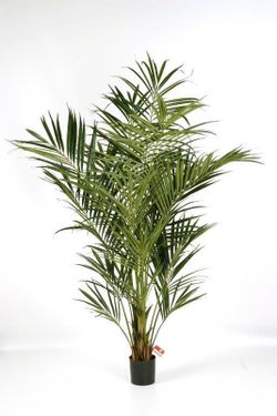 Kentia Artificial de Luxe