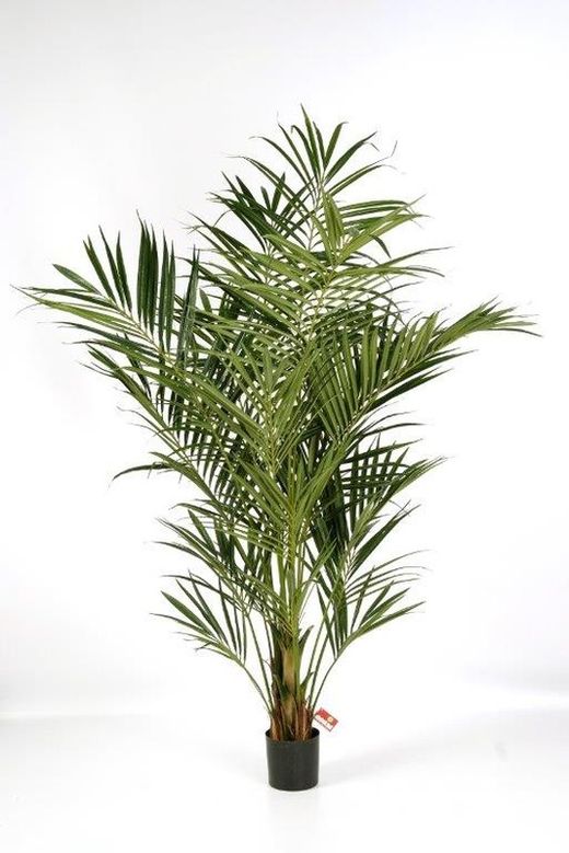 Kentia Artificial de Luxe